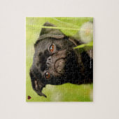 私たちのグリフォン犬は私たちの家族ペット ジグソーパズル (縦)