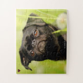 私たちのグリフォン犬は私たちの家族ペット ジグソーパズル (縦)