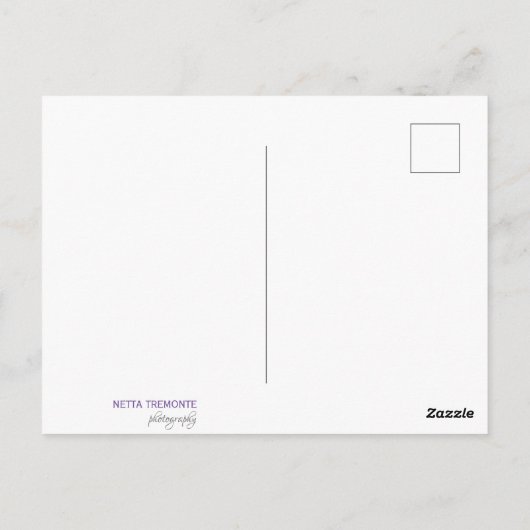 私たちのナース ポストカード (裏面)