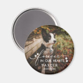 私たちのハートペットの写真にPawプリント マグネット (正面/裏面)