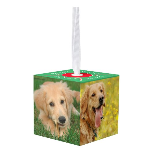 私たちのペット5フォトキューブオーナメント キューブオーナメント (裏面アングル)