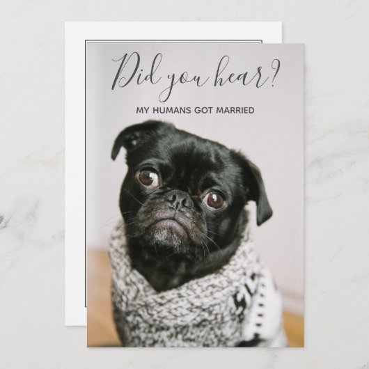 私たちの人間に結婚しました 犬の写真 ウェディング エルオープメント 招待状 (正面/裏面)