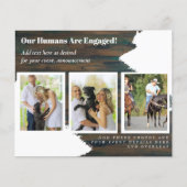 私たちの人間は婚約した- PET PHOTO Engagement (正面)