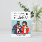 私たちの人間は結婚した犬の写真を日付以外 案内ポストカード (スタンド正面)