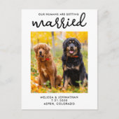 私たちの人間は、日付を除いて結婚している犬を取得している 案内ポストカード (正面)