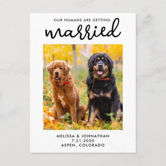 私たちの人間は、日付を除いて結婚している犬を取得している 案内ポストカード (正面)