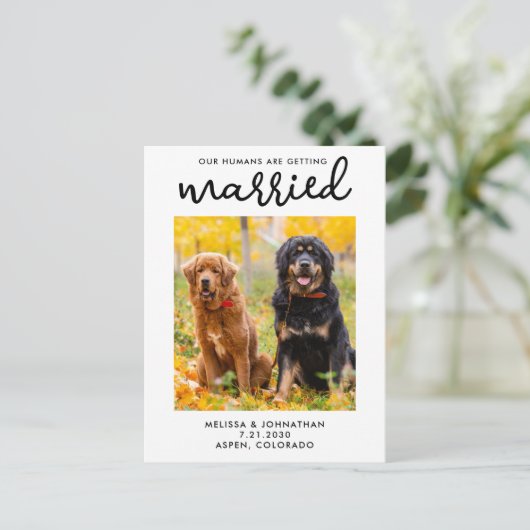 私たちの人間は、日付を除いて結婚している犬を取得している 案内ポストカード (スタンド正面)