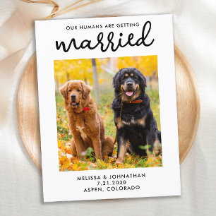 私たちの人間は、日付を除いて結婚している犬を取得している 案内ポストカード