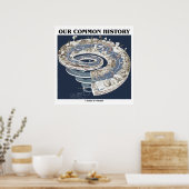 私たちの共通の歴史（地球の歴史タイムラインスパイラル） ポスター (キッチン)