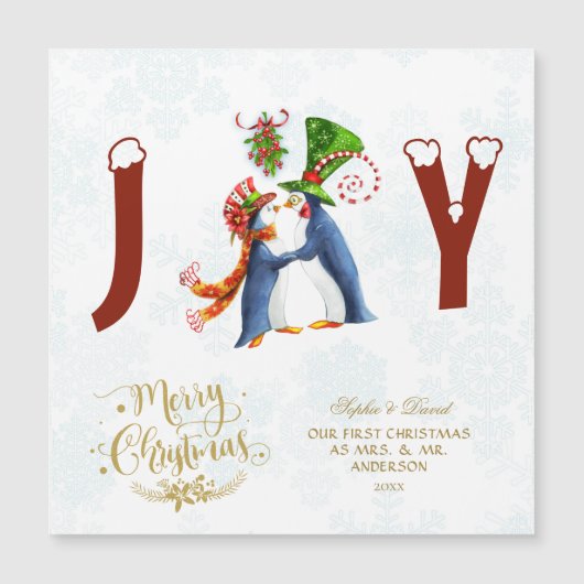 私たちの初めてのクリスマスはMr.可愛いペンギン夫人 (正面)