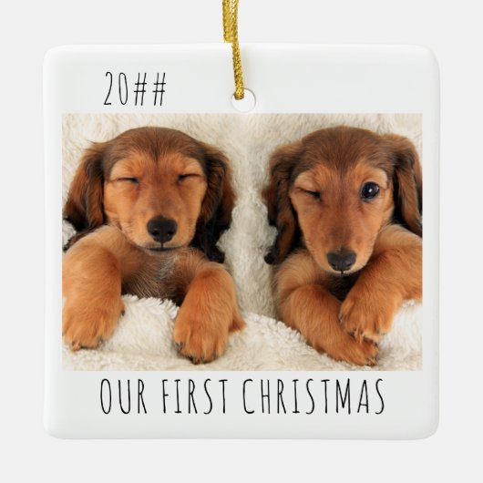 私たちの初めてのクリスマス子犬の風景の写真 セラミックオーナメント (正面)