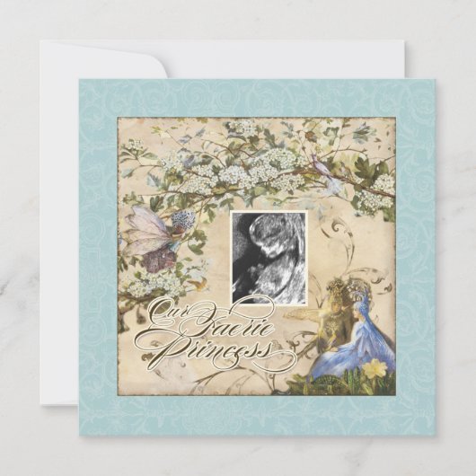 私たちの妖精の国プリンセス、ベビーガールシャワー招待状 招待状 (正面)