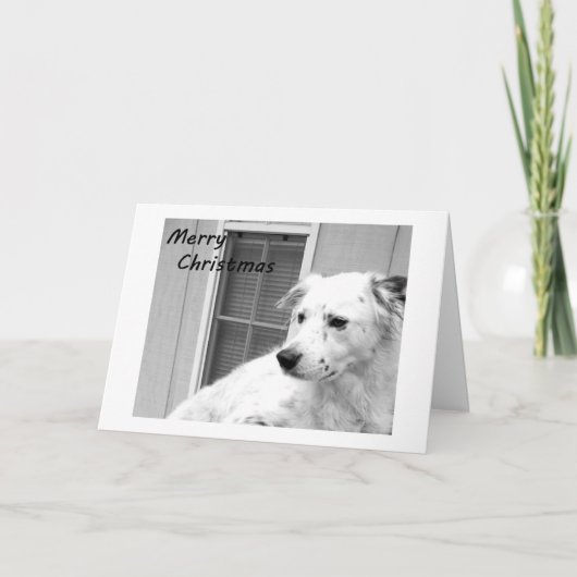 私たちの家からあなたの家まで聖降誕祭お目出とう シーズンカード (正面)