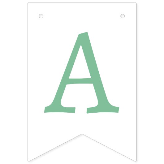 私たちの小さなカボチャのミント/ピンクの誕生日パーティー バンティングフラッグ (第3の旗)