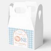 私たちの小さなカボッキンボホブルーギンガム1日の誕生日 フェイバーボックス (オープン)