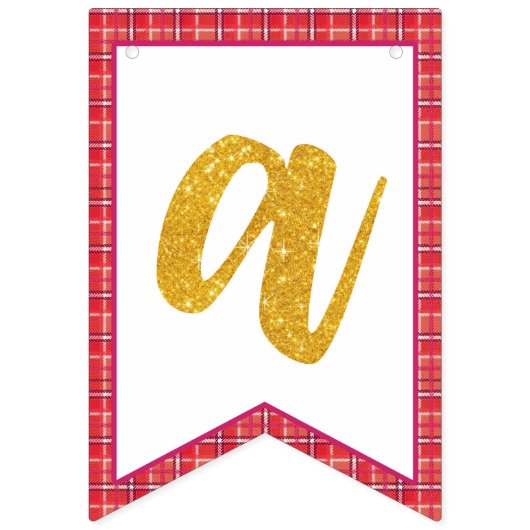 私たちの小さなトルコ(女の子)誕生日バンティングバナー バンティングフラッグ (第3の旗)