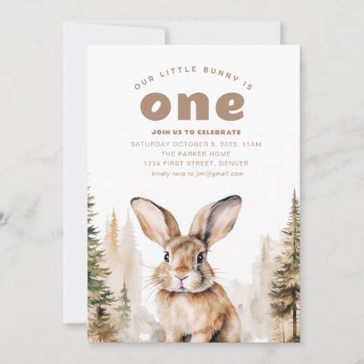私たちの小さなバニーは1歳の誕生日招待状 招待状 (正面)