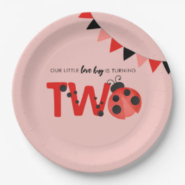私たちの小さなラブバグが2歳の誕生日を迎える Ladybug ペーパープレート