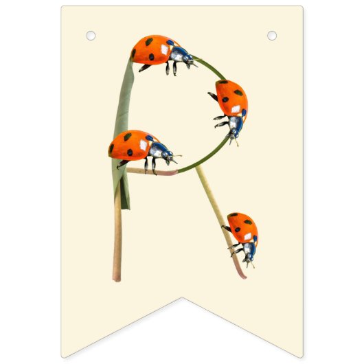 私たちの小さなレディバグは1回を回している – 最初の誕生日 バンティングフラッグ (第3の旗)