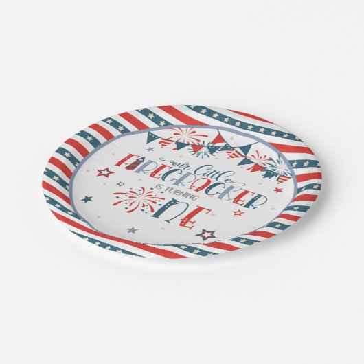 私たちの小さな爆竹の最初の誕生日 ペーパープレート (アングル)