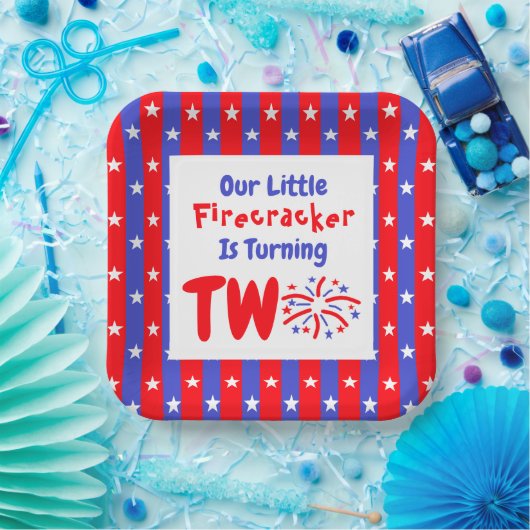 私たちの小さな爆竹の2番目の誕生日 ペーパープレート (パーティー)