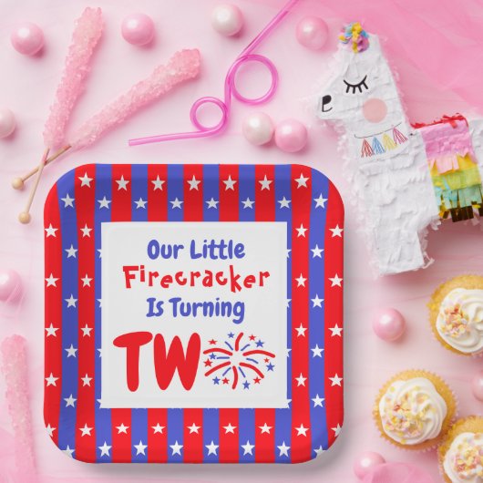 私たちの小さな爆竹の2番目の誕生日 ペーパープレート (パーティー)