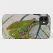 私たちの庭の花の上のヤマアメガエル、 Case-Mate iPhoneケース (裏面(横))