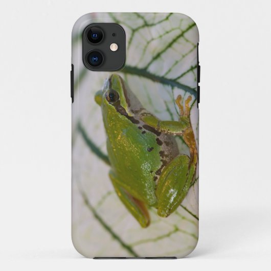 私たちの庭の花の上のヤマアメガエル、 Case-Mate iPhoneケース (裏面)