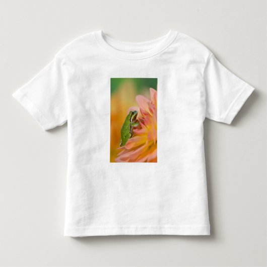 私たちの庭の花の上のヤマアメンボガエル、２ トドラーTシャツ (正面)