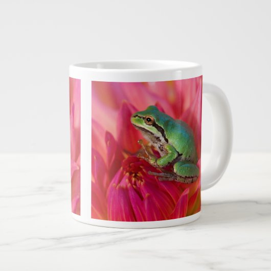 私たちの庭の花の上の太平洋アマガエル ジャンボコーヒーマグカップ (正面右)
