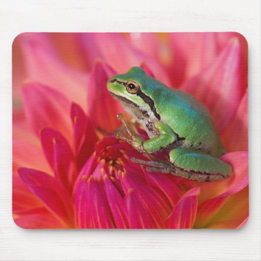 私たちの庭の花の上の太平洋アマガエル マウスパッド (正面)