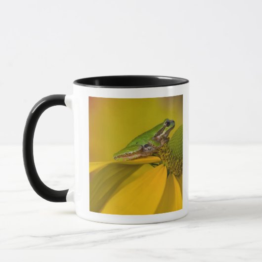 私たちの庭の花の上の太平洋アマガエル マグカップ (左)