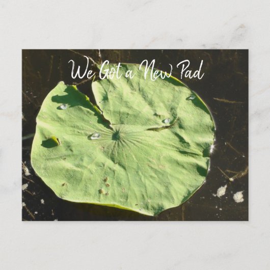 私たちの引っ越し | 新しい家 | 新しい住所 ポストカード (正面)