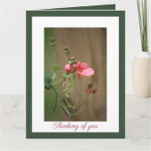 私たちの最も深い悔やみや弔慰 カード (正面)