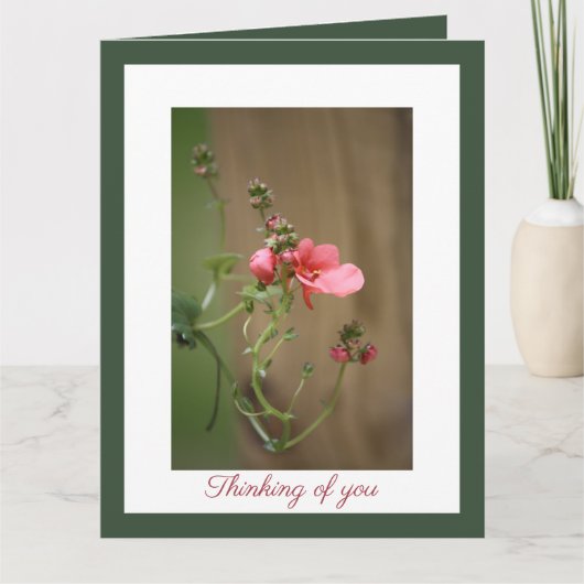 私たちの最も深い悔やみや弔慰 カード (正面)