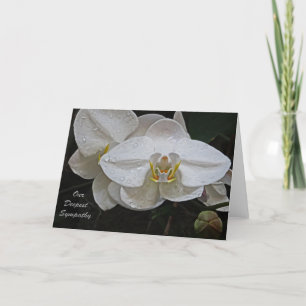 私たちの最も深い悔やみや弔慰 カード