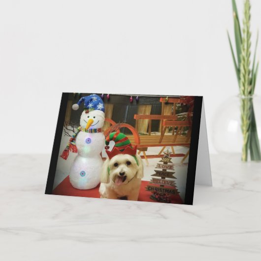 私たちの犬の贈り主に聖気に降誕祭お目出度う シーズンカード (正面)