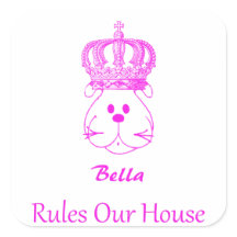 私たちの犬は私たちの家の正方形のステッカーを支配