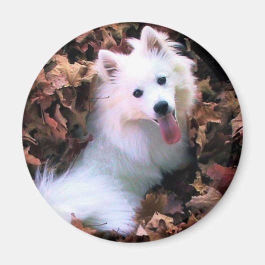 私たちの犬は私の写真を持っている！ マグネット (正面)