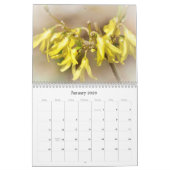 私たちの美しい世界カレンダー#6 カレンダー (1月 2026)