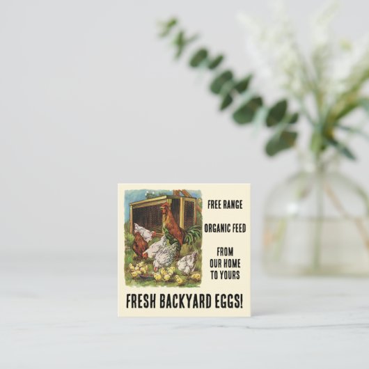 私たちの裏庭の鶏から新鮮な卵を販売のために！ スクエア名刺 (スタンド正面)