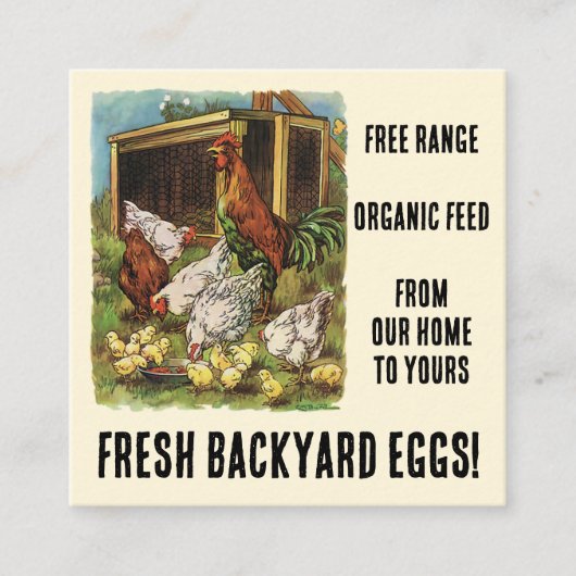 私たちの裏庭の鶏から新鮮な卵を販売のために！ スクエア名刺 (正面)