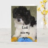 "私たちの記念日"私は何の考えことを考え行う？ カード (黄色い花)