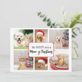 私たちはあなたのお気に入りのクリスマスグリーティングカード シーズンカード (スタンド正面)