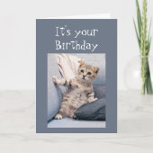 私たちはあなたの忘れ誕生日おもしろいかわいい子猫ではなかった カード (正面)