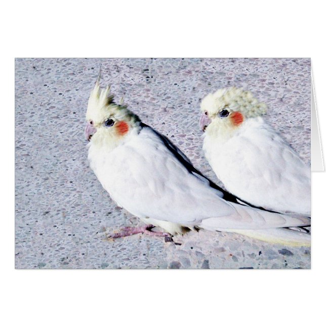 私たちはあなたを愛している.JPG (正面横)