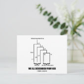 私たちはみんな彼女から来た（ミトコンドリア・イヴ） ポストカード (スタンド正面)