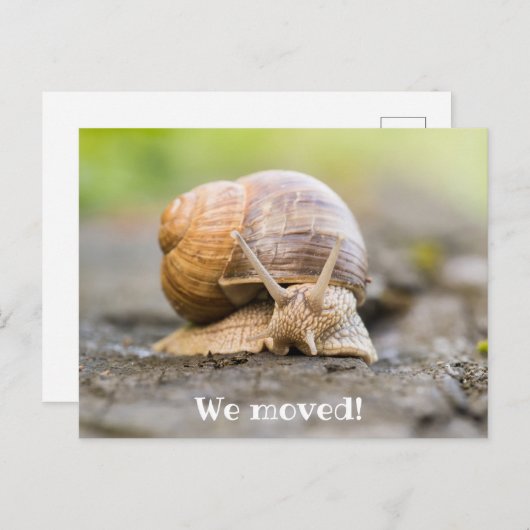 私たちはカタツムリ付きの葉書を引っ越した ポストカード (正面/裏面)