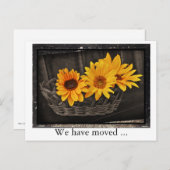 私たちはヒマワリと移動した新しいアドレス 案内ポストカード (正面/裏面)