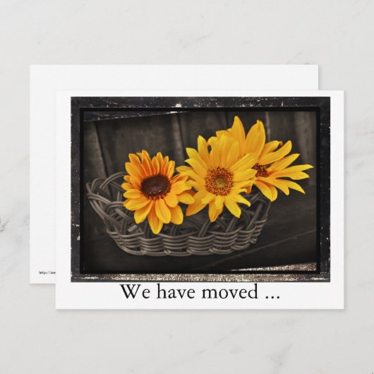 私たちはヒマワリと移動した新しいアドレス 案内ポストカード (正面/裏面)